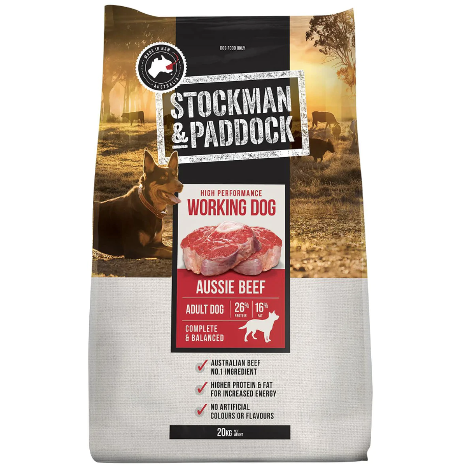 Stockman And Paddock Working Dog