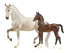 Load image into Gallery viewer, BREYER TRADITIONAL FAVORY AIRIELLA &amp; AIRIELLA

