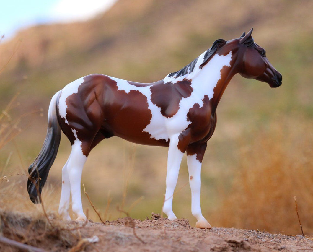 BREYER TRADITIONAL IDEAL SERIES - AMERICAN PAINT HORSE