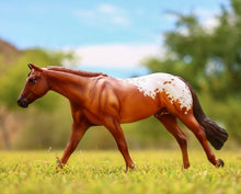 Load image into Gallery viewer, Breyer Traditional Chocolatey Champion Appaloosa
