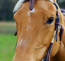 Load image into Gallery viewer, TOPRAIL CROSSOVER HEADSTALL BRIDLE WITH KNOTTING

