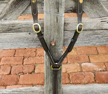 Load image into Gallery viewer, TOPRAIL LEATHER SHOW PLAQUE BREASTPLATE
