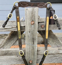 Load image into Gallery viewer, TOPRAIL LEATHER SHOW PLAQUE BREASTPLATE
