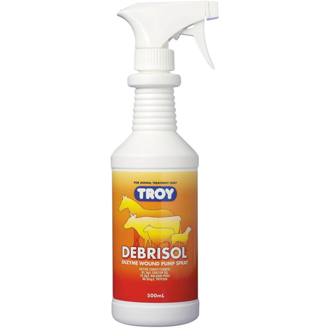 TROY DEBRISOL