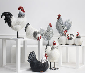 SITTING WHITE HEN