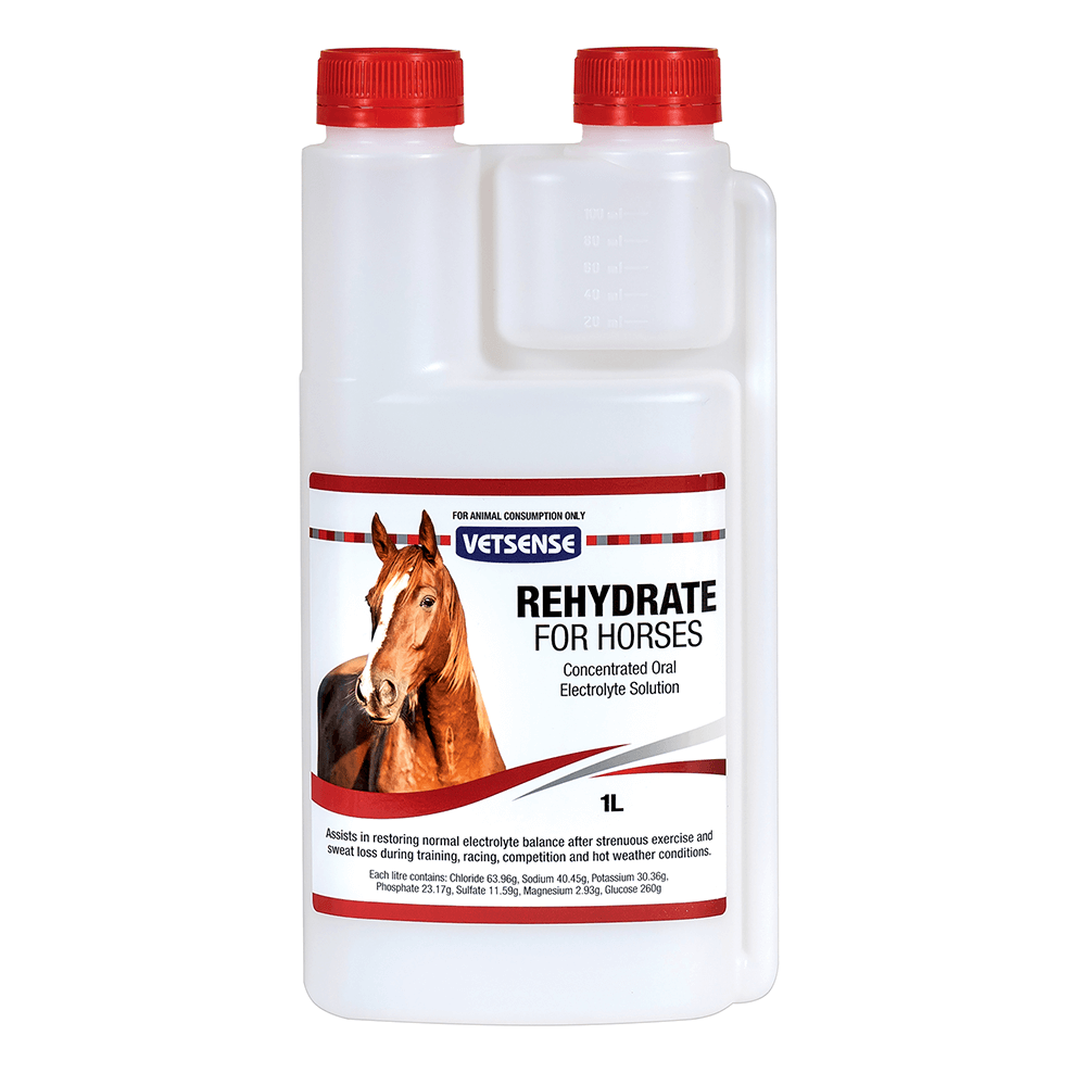 VETSENSE REHYDRATE HORSE