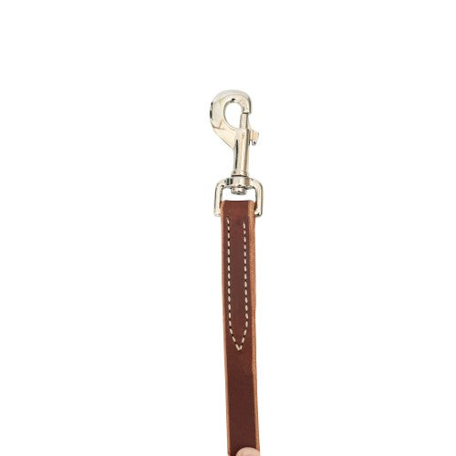 WEAVER HORIZONS COLLECTION TIE DOWN STRAP