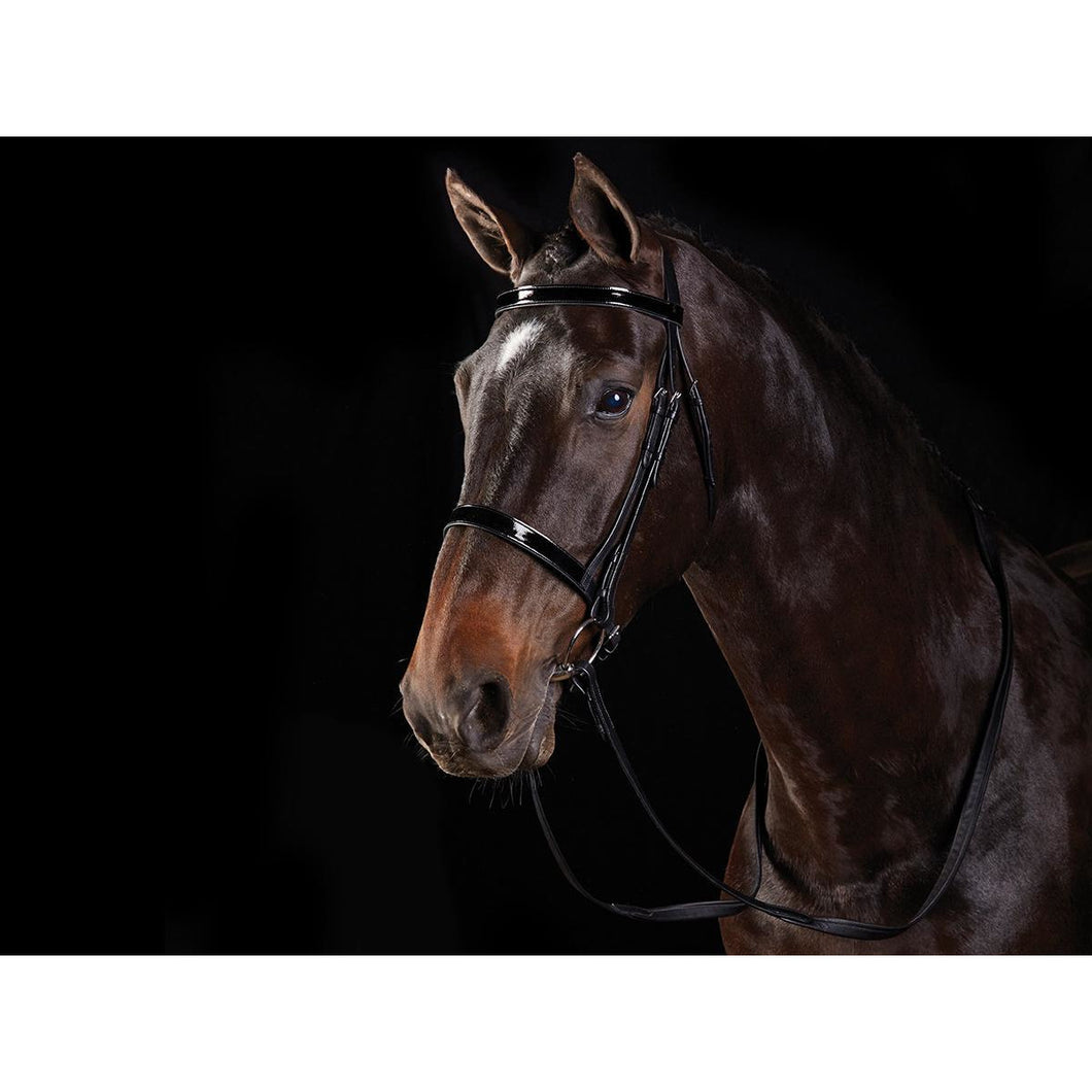 COLLEGIATE FLAT PATENT CAVESSON BRIDLE