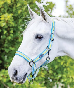 WEATHERBEETA COORDINATE HEADCOLLAR