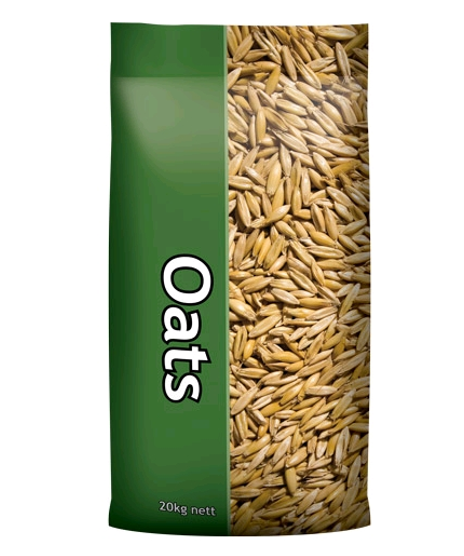 Oats Whole