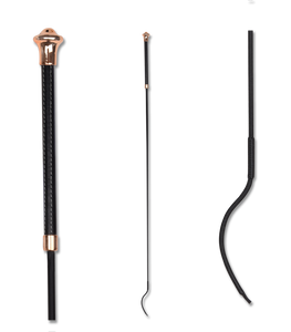WALDHAUSEN DRESSAGE NOBLESSE WHIP
