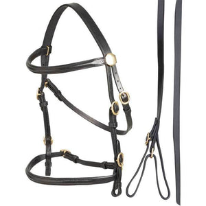 ZILCO IN-HAND SHOW BRIDLE