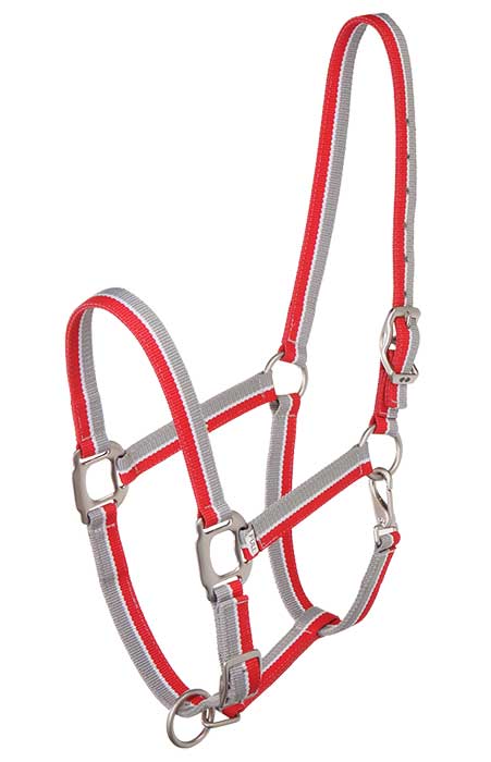 ZILCO STRIPED HEADSTALL