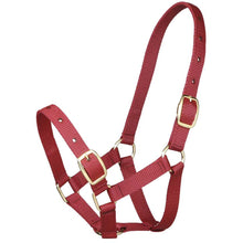 Load image into Gallery viewer, GYMKHANA FOAL HALTER
