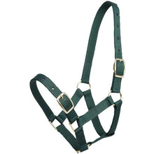Load image into Gallery viewer, GYMKHANA FOAL HALTER
